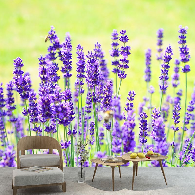 Contemporary Photography Beautiful Lavender Mural in Purple for Home Decor