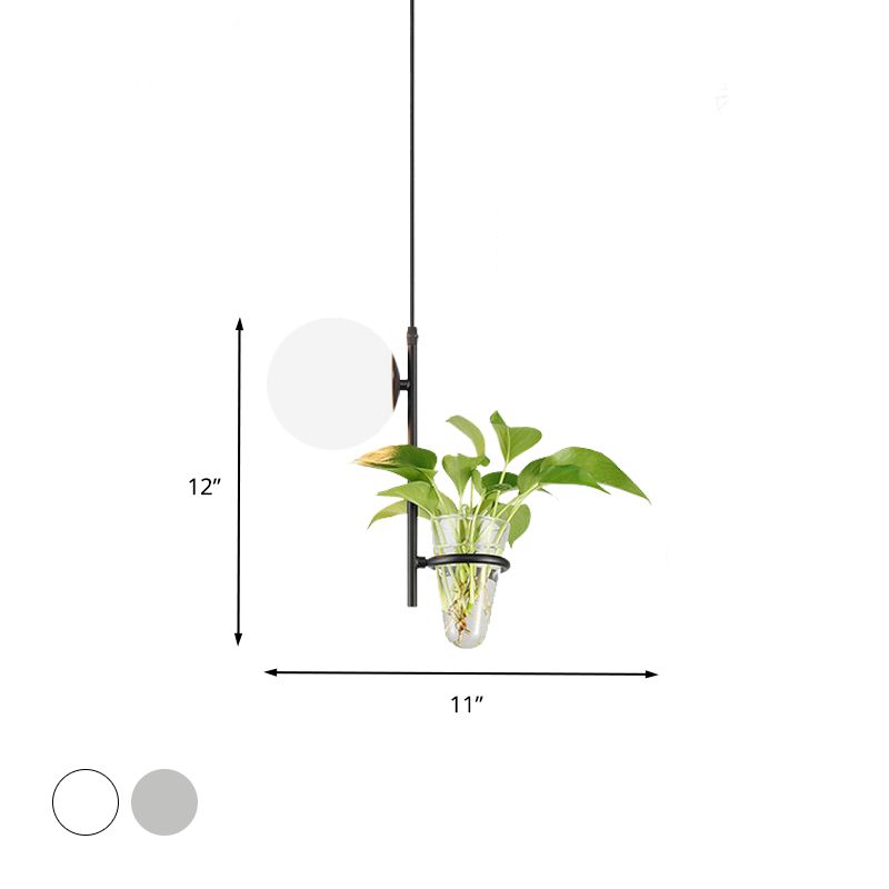 Metal Black/Gold Drop Lamp Orb 1 Head Industrial LED Plant Down Lighting Pendant with Milk White/Smoke Grey Glass Shade