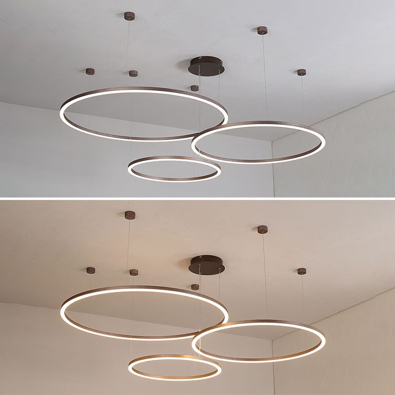 Modern Orbicular Pendant Lighting Fixtures Metal Pendant Chandelier