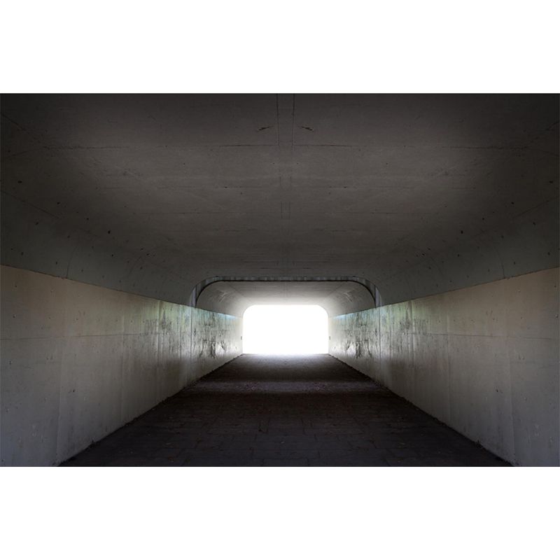 Photography Style Tunnel Mural Decal for Living Room, Pastel Color, Personalized