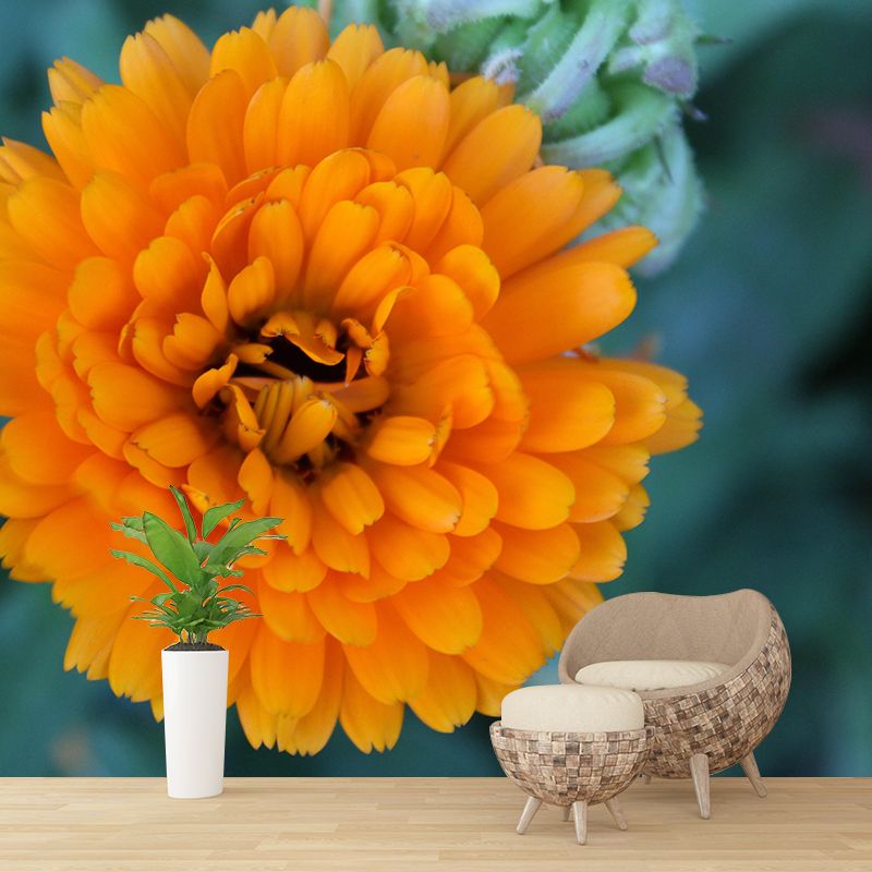 Customized Contemporary Marigold Mural Mildew Resistant for Sitting Room Bedroom