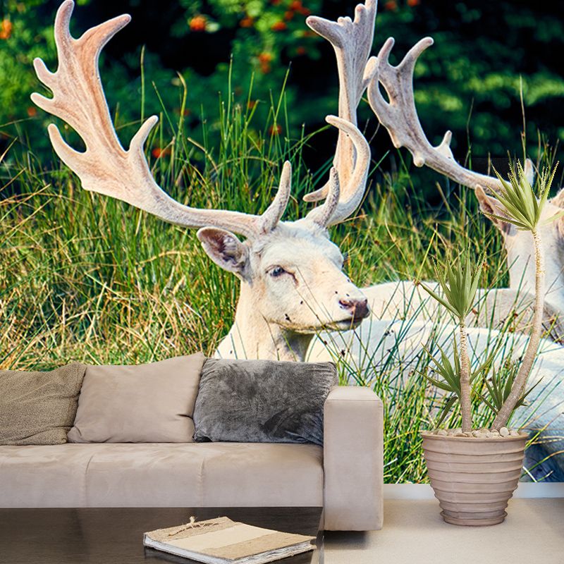 Deer Contemporary Wall Art Waterproofing Mural Wallpaper for Dining Room