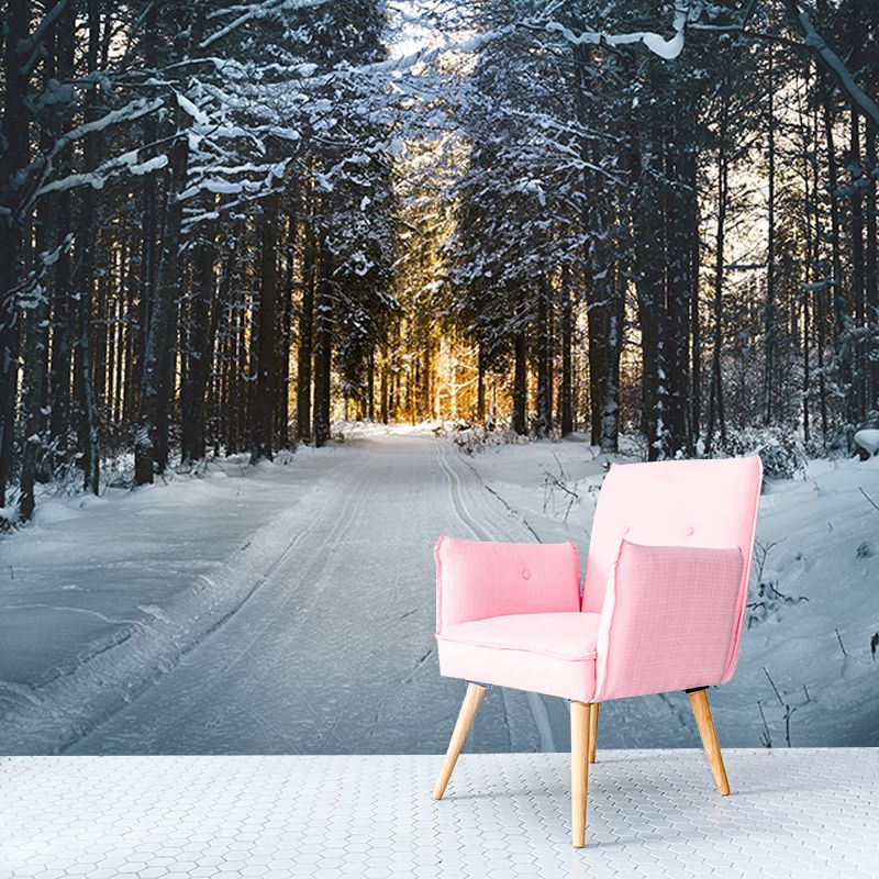 Photography Environment Friendly Mural Wallpaper Forest Bedroom Wall Mural