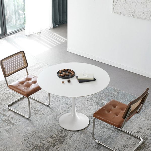 Modern Tulip Pedestal White Dining Table Stone Table for Kitchen
