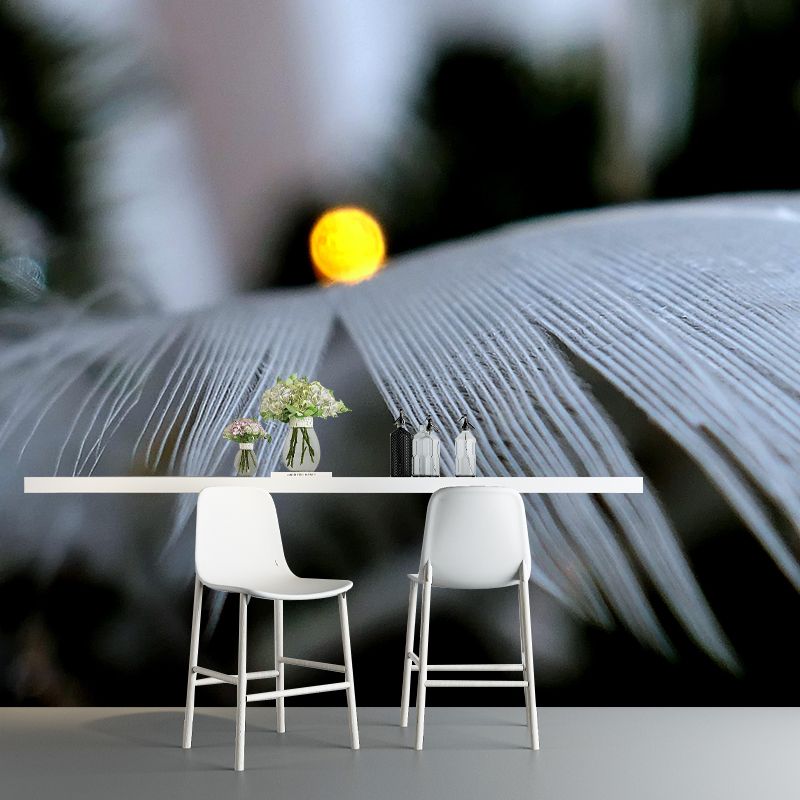 Beautiful Bird Feather Mural Eco-friendly Decorative Wallpaper Wall Art
