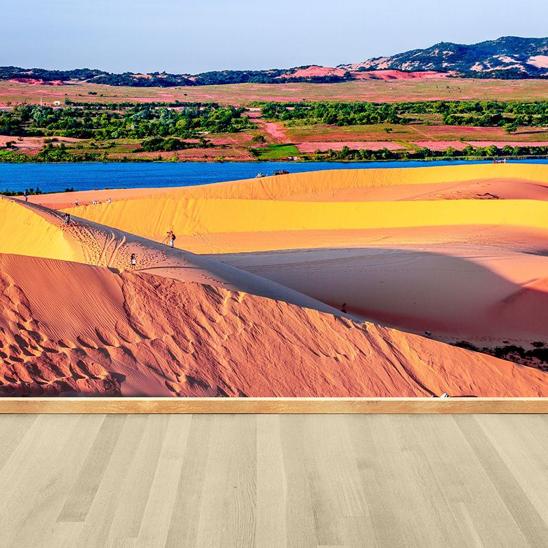 Photography Wallpaper Decorative Home Stain Resistant Desert Wall Mural