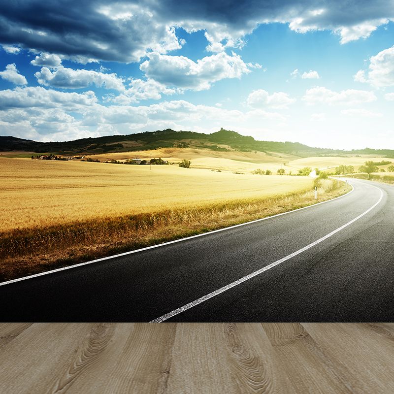 Quiet Roadway Scenery Mural Decal for Dining Room Summer Wall Covering, Customised