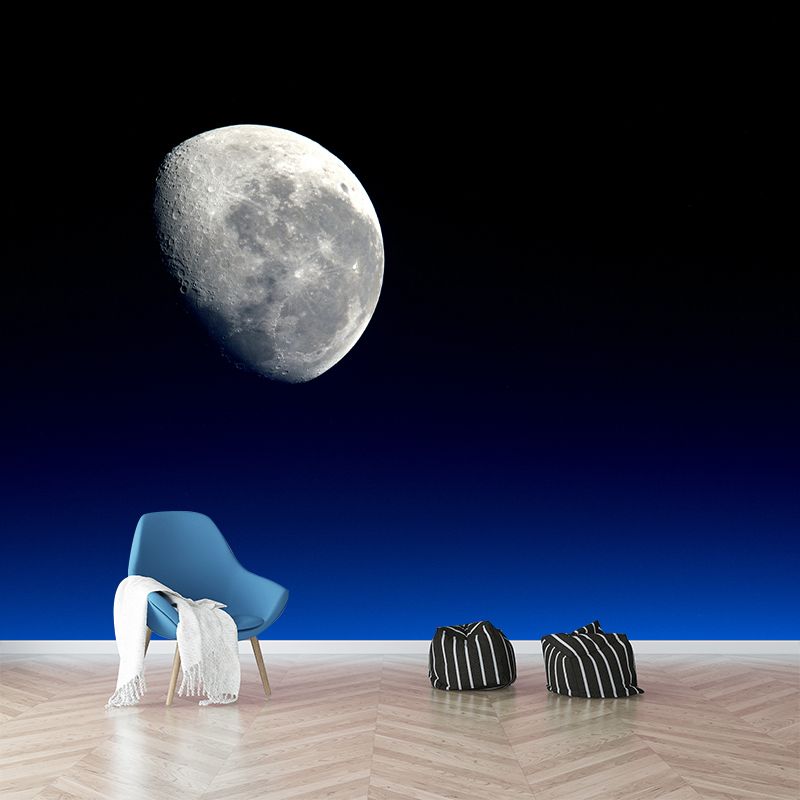 Modern Style Photography Mural Wallpaper Moon Indoor Wall Mural