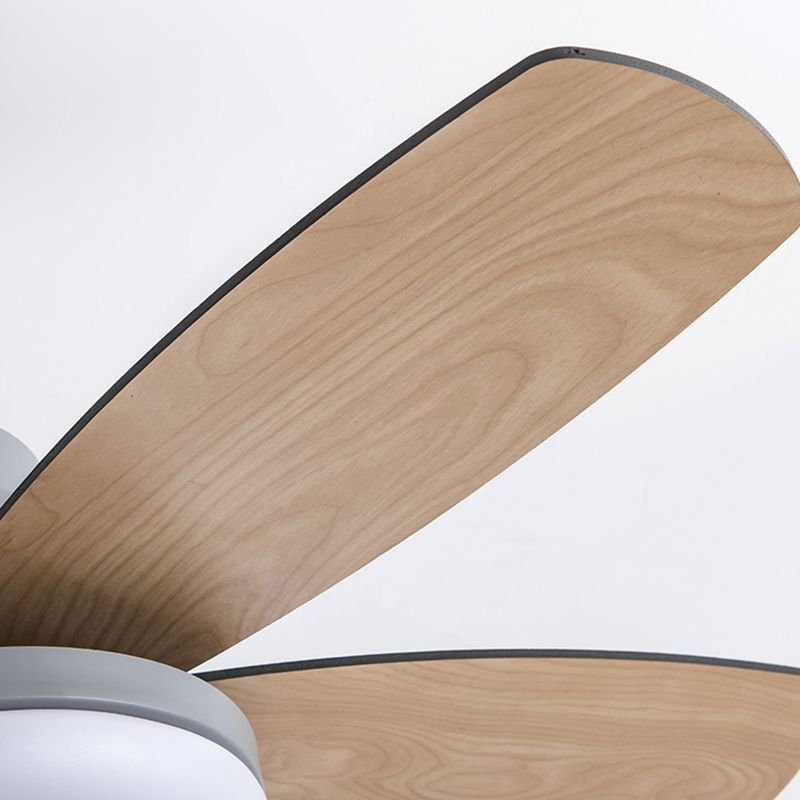 Ventola del soffitto rotondo leggero in stile children 1 1 lampadina a LED LED per camera da letto