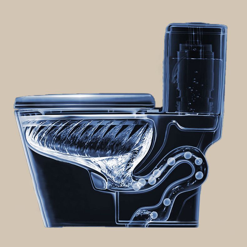 Traditional Skirted Toilet Floor Mount One-Piece Flush Toilet with Slow Close Seat