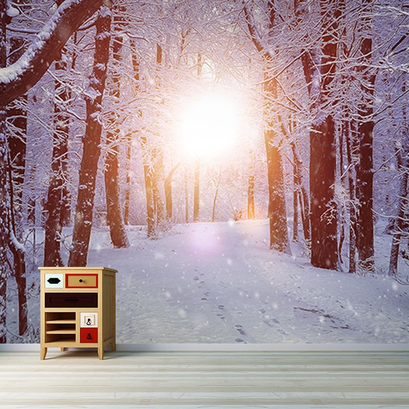 Washable Stain Resistant Mural Wallpaper Forest Indoor Wall Mural