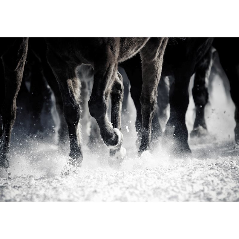 Modern Horse Mural Wallpaper Pastel Color Dining Room Wall Decor, Custom Printed