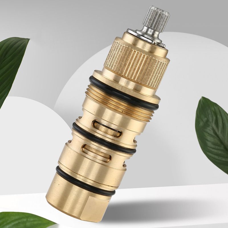 Wall Mounted Swivel Shower Trim Brass 2 Shower Heads Shower Set