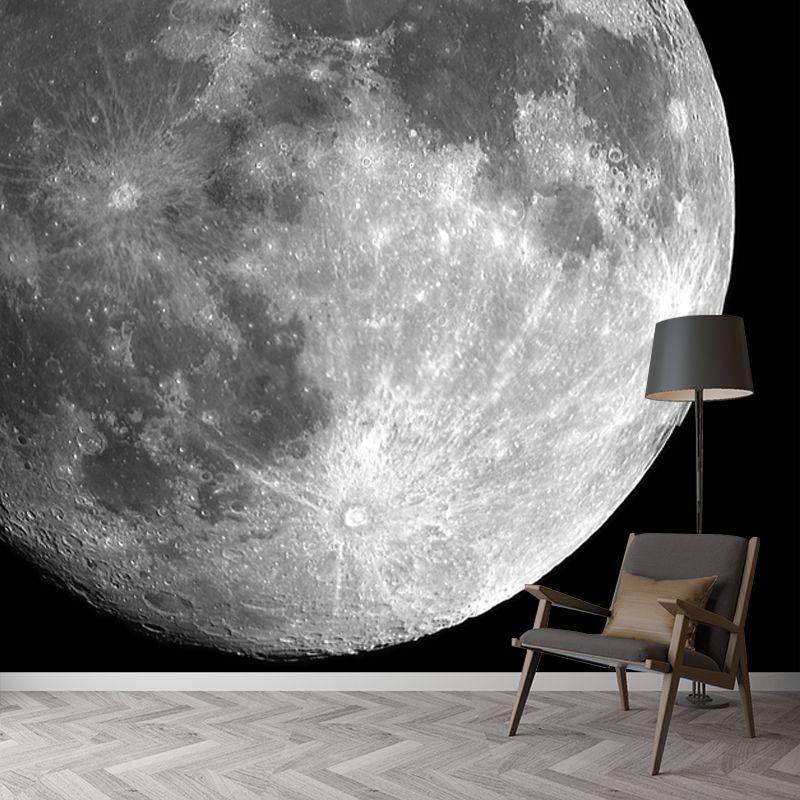 Planet Mercury Wall Paper Mural Black-Grey-White Contemporary Wall Decor for Home