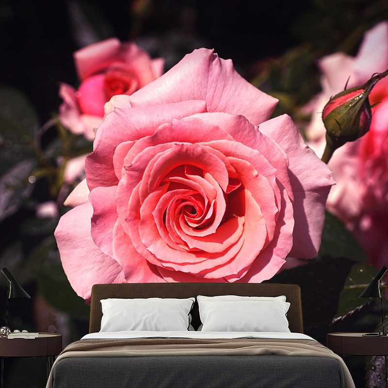 Minimalism Style Roses Wall Mural Decorative Photography for Living Room