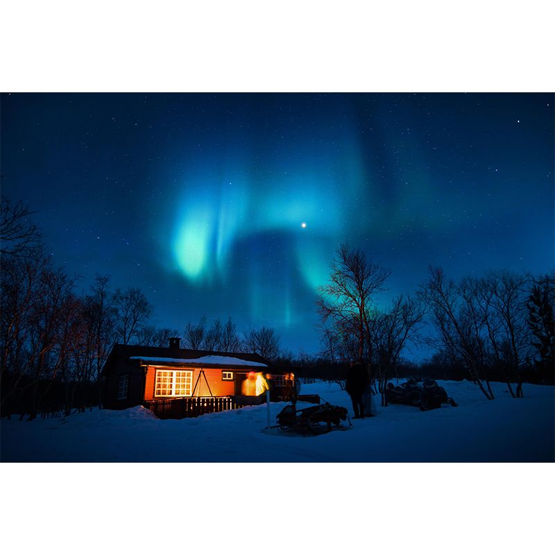 Contemporary Mural with Aurora Pattern Moisture Resistant Wall Covering for Wall Decor