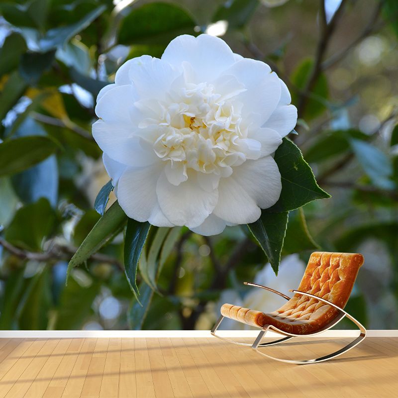 Contemporary Blooming Camellia Mural Wallpaper Environmental for Bedroom