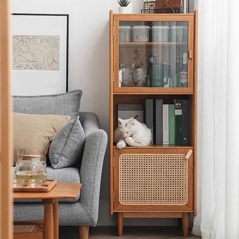 51.2" Tall Solid Wood Storage Cabinet with Glass Paned 2 - Door Rattan Accent Chest