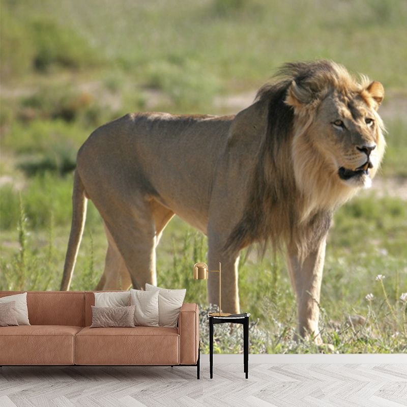 Green Modern Wall Paper Mural Big Lion Walking Wall Decor for Bedroom, Non-Woven