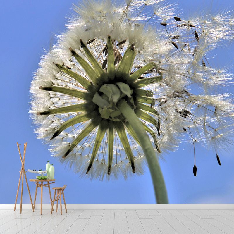 White Dandelion Plant Mural Wallpaper Moisture-Resistant Wall Covering for Home