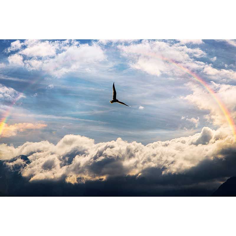 Rainbow Sky Murals Wallpaper for Bedroom, Waterproofing, Custom Size Available