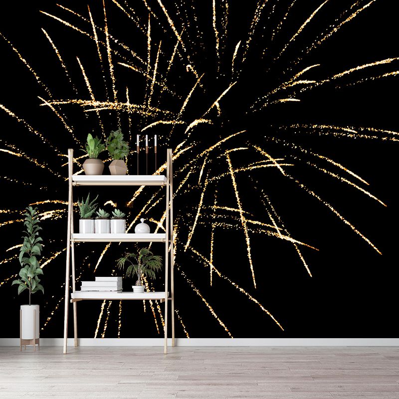 Gorgeous Fireworks Wall Murals Contemporary Wall Art for Bedroom Living Room