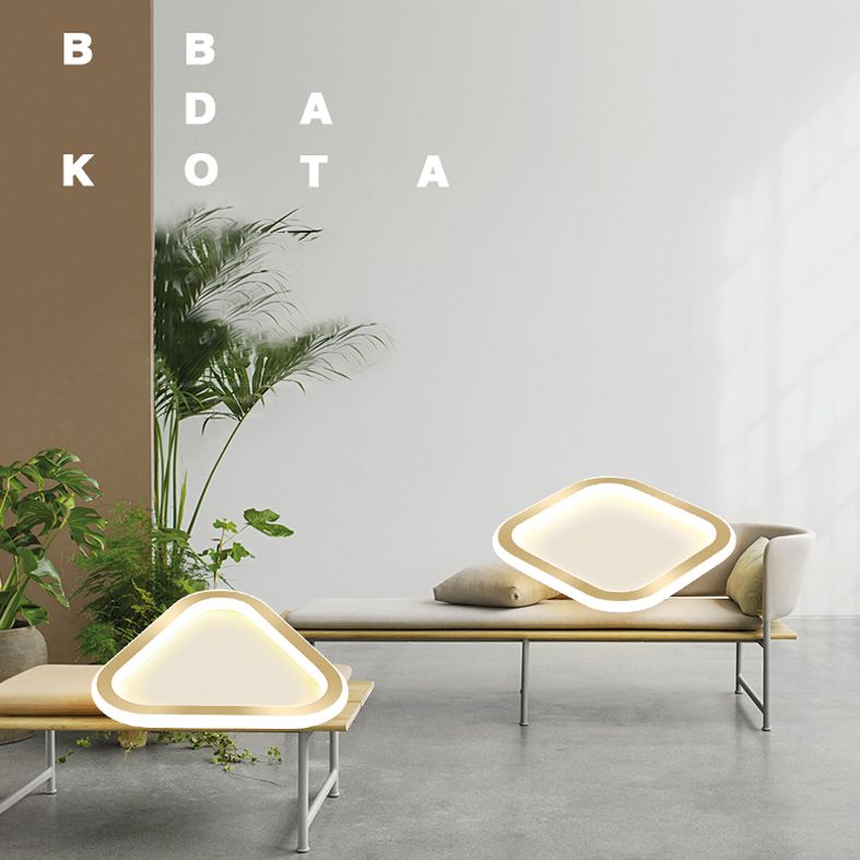 Plafonnier LED Ultra-mince à 1 lumière, nouveau plafonnier moderne en fer pour couloir