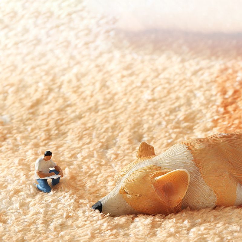 Gray Modern Rug Polyester Feather Indoor Rug Washable Rug for Living Room