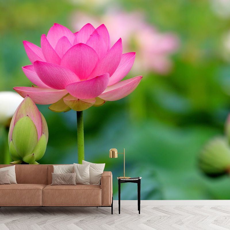 Water Plant Lotus Wall Mural Decal Water Resistant, Custom Size Available