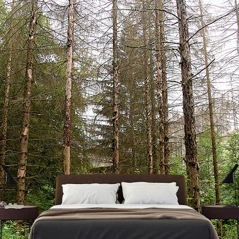 Misty Forest Scenery Water Resistant Wall Decor for Living Room Bedroom