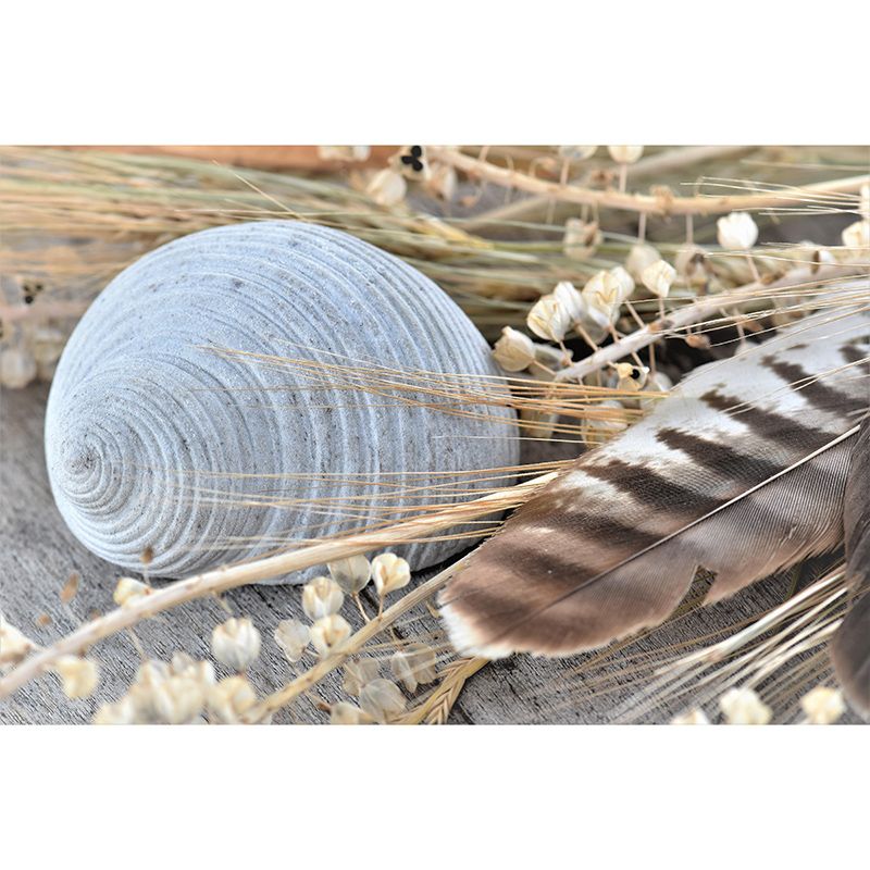 Environment Friendly Bird Feather Mural Decorative Wallpaper for Bedroom