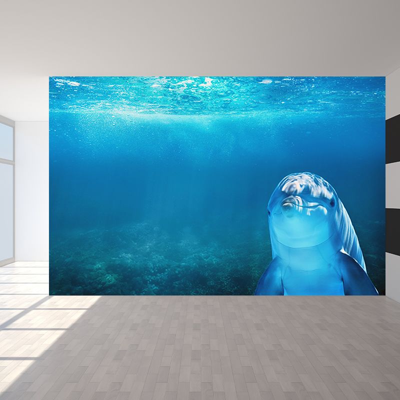 Photography Lovely Dolphins Mural Wallpaper Contemporary Wall Covering for Home Decoration