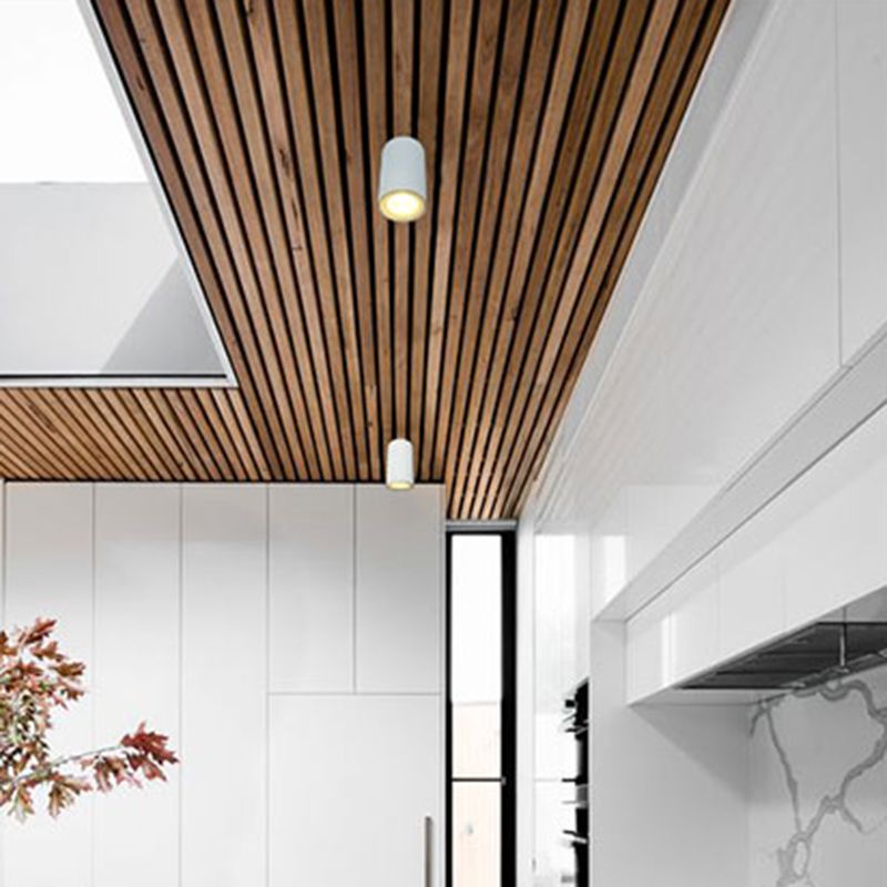 Aluminum Elongated Dome Ceiling Lamp Nordic LED Flush Mount Lighting for Hallway