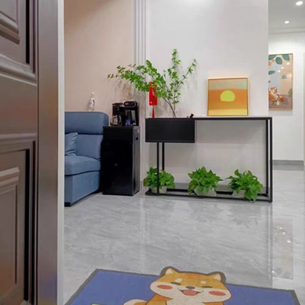 31.49" High Accent Console Table with Iron Frame Base and Storage Shelf, Black