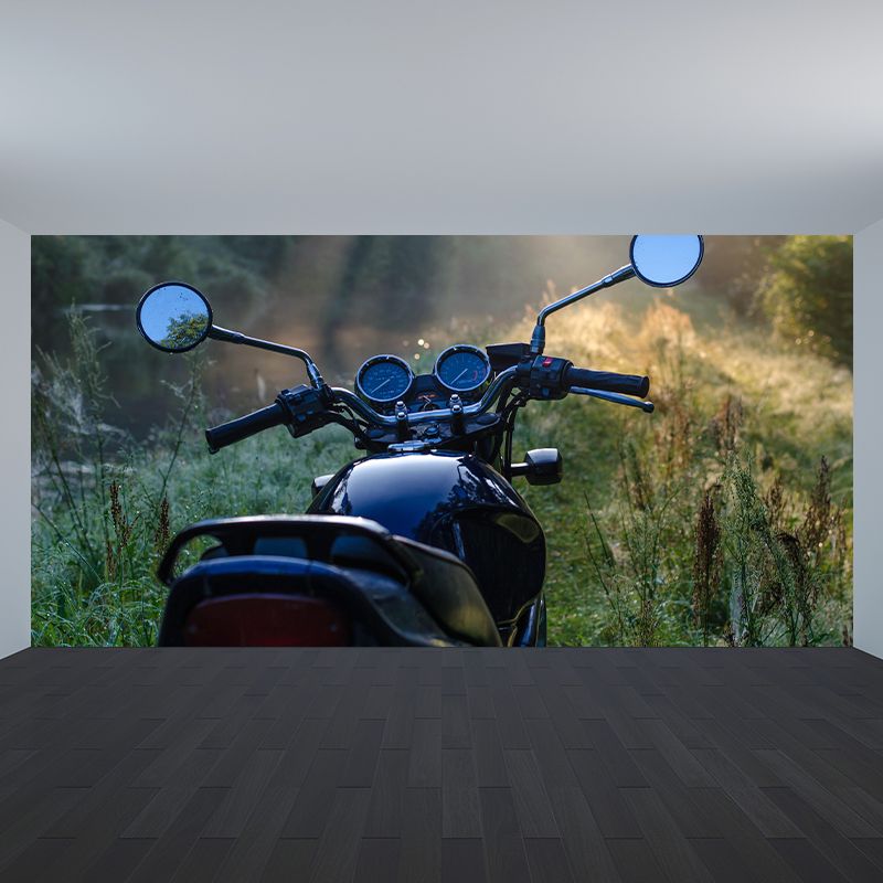 Photography Horizontal Mural Decal Decorative Wall Covering for Accent Wall