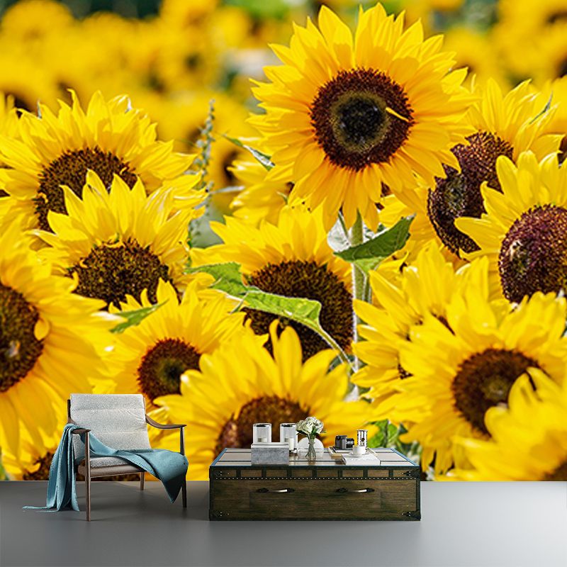 Modern Style Mural Wallpaper Flowers Photography Indoor Wall Mural