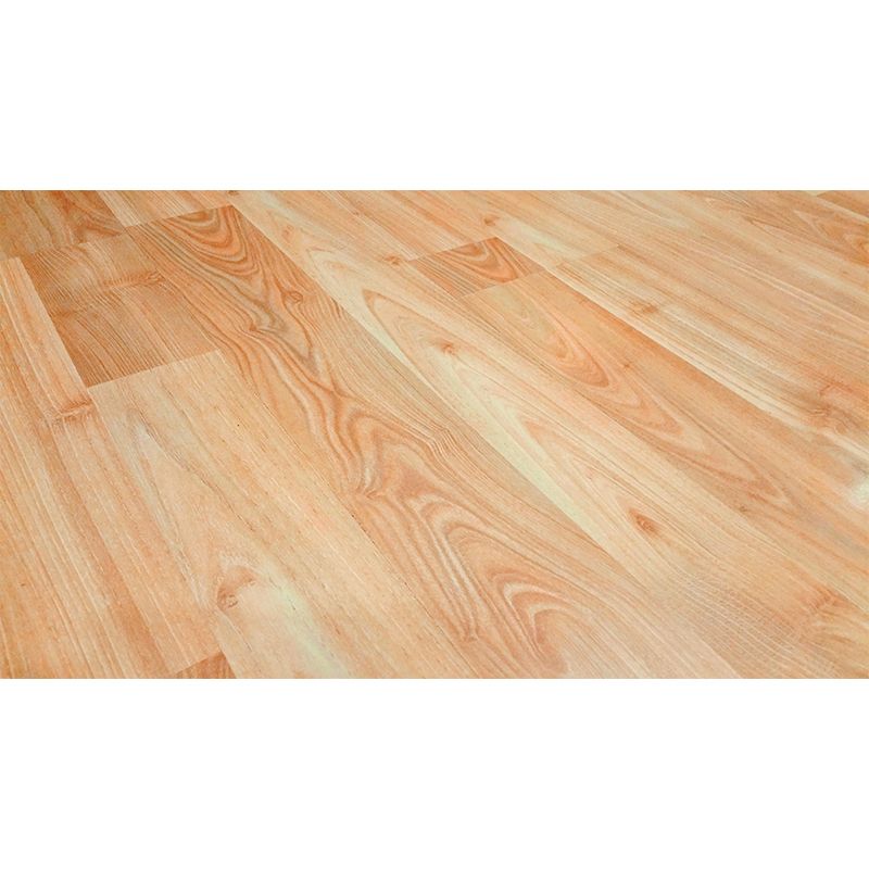 Photography Style Wood Look Mural Wallpaper Whole Wall Decor for Living Room