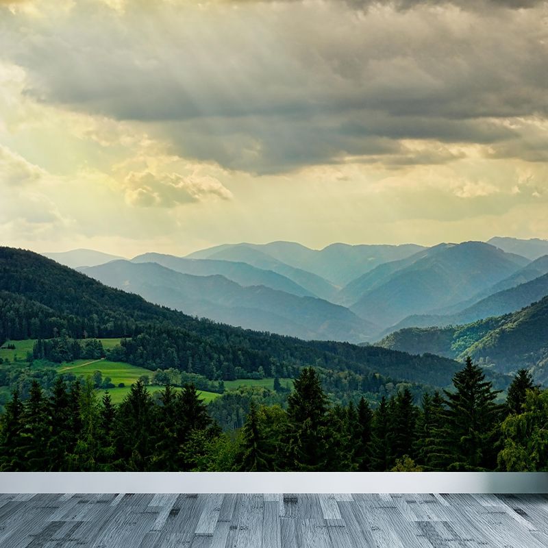 Mountain Range Landscapes Mural Wallpaper in different seasons Indoor Wall Art for Home Decor