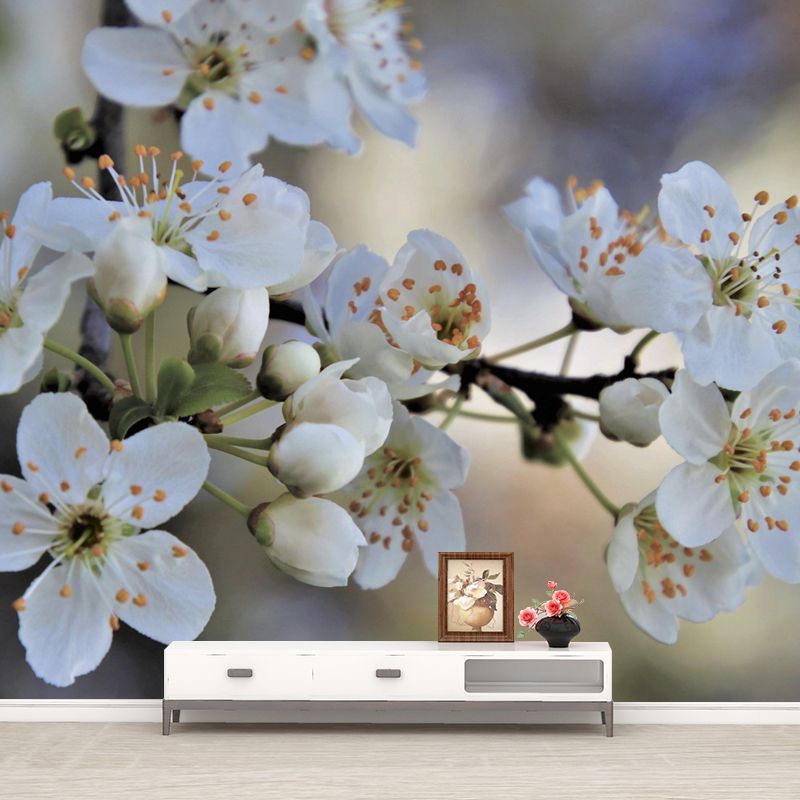 Customized Cherry Blossoms Mural Wallpaper Contemporary for Guest Room Decor