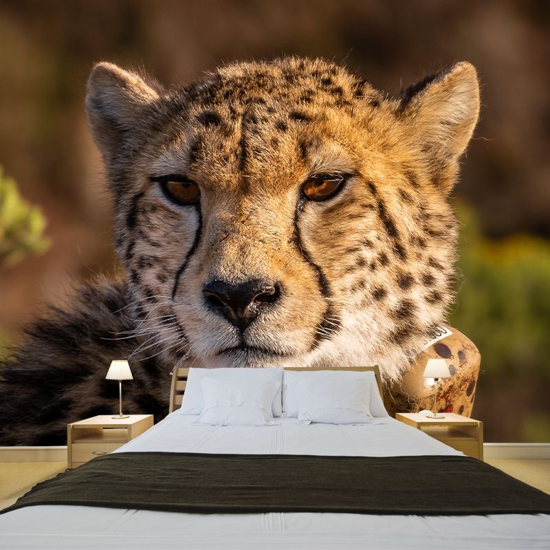 Fierce Cheetah Mural Wallpaper Decorative Contemporary Dining Room Wall Decor