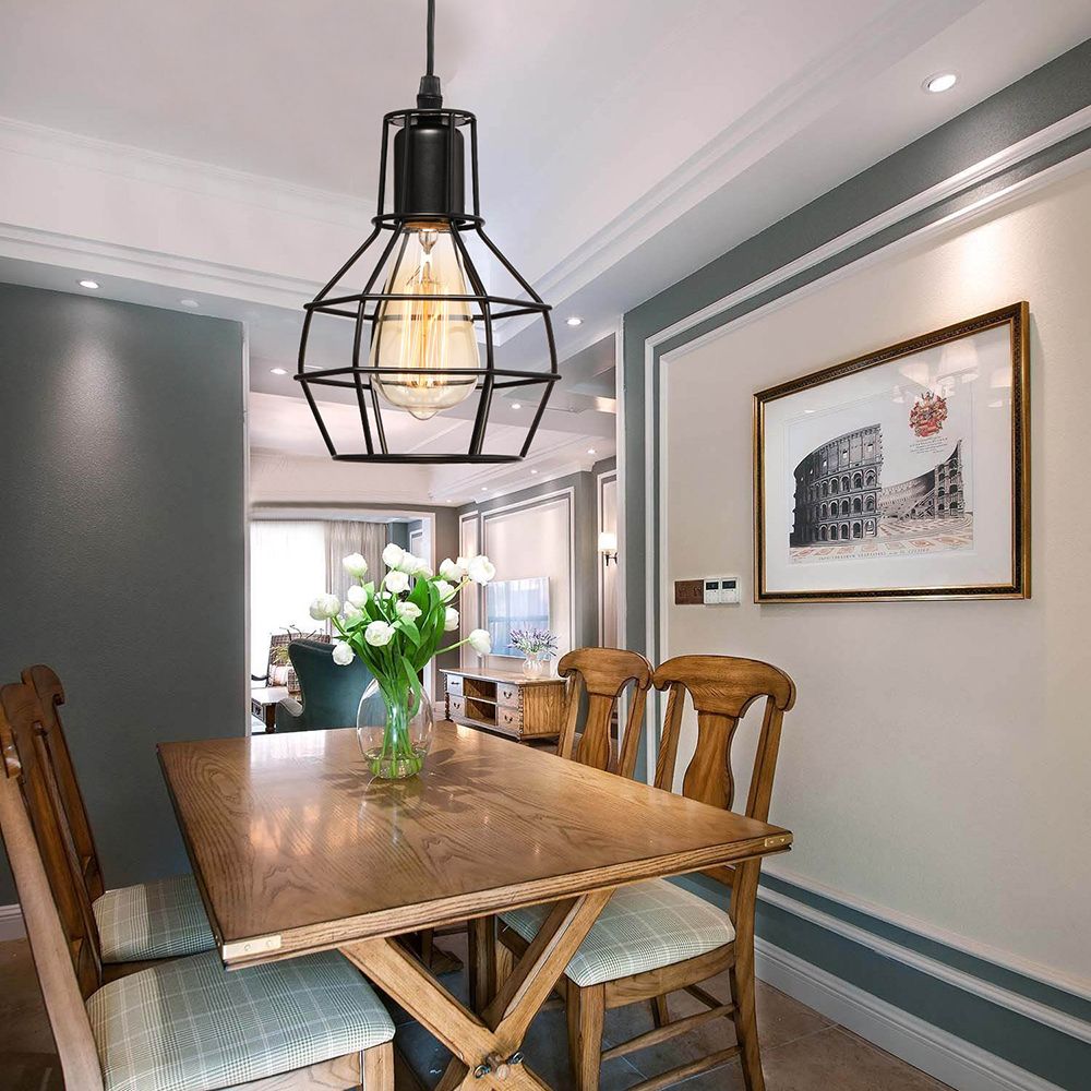 1 Bulb Plug In Suspension Light with Globe Cage Shade Retro Loft Black Metal Hanging Ceiling Light