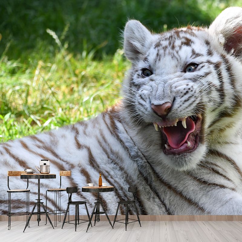 Photography Modern White Tiger Mural Mildew Resistant Dining Room Wall Decor