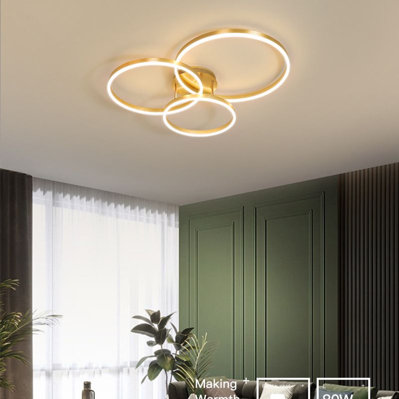 Metal Circle Ceiling Flush Mount Light Modern Style LED Gold Ceiling Light Fixture