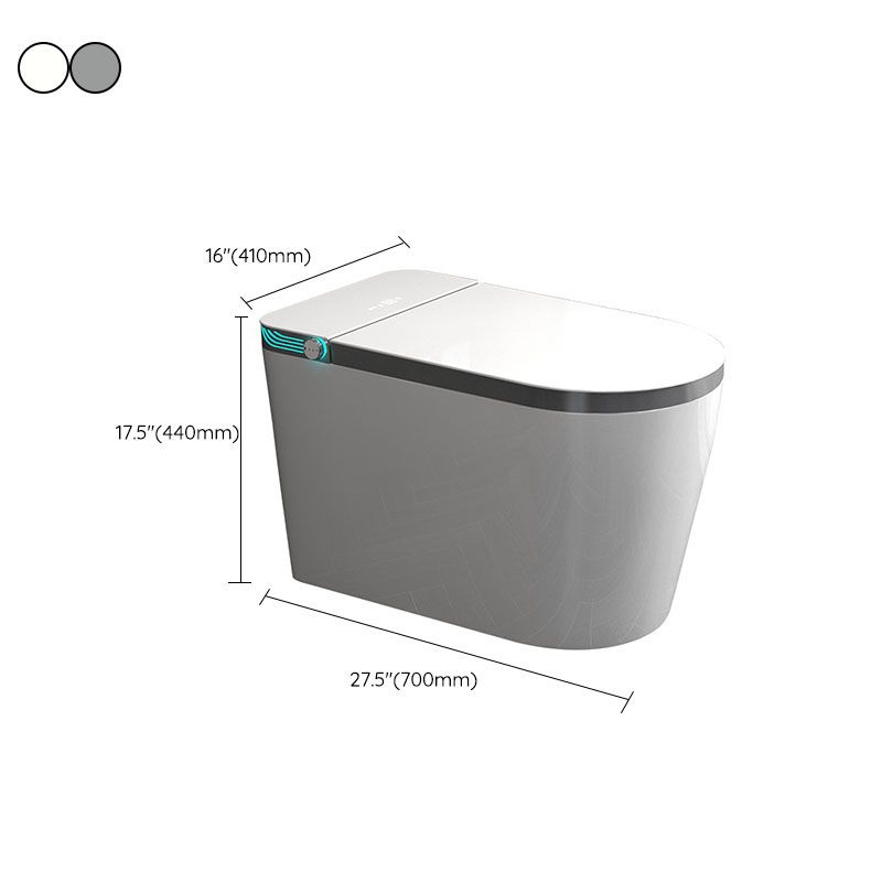 Contemporary Flush Toilet Floor Mounted One-Piece Toilet ABS Toilet Bowl