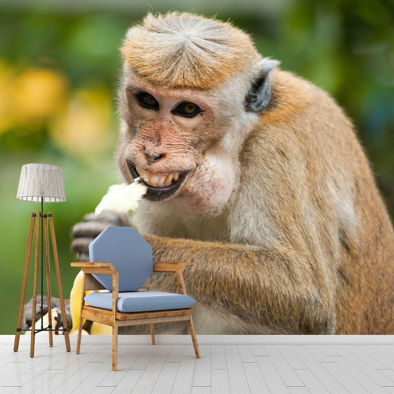 Elephant Wild Animal Contemporary Animal Mural Mildew Resistant Wallpaper for Bedroom