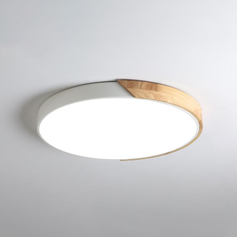Rounded Shape 1-Light LED Flush Light New Modern Iron Flush Mount Ceiling Light Fixtures