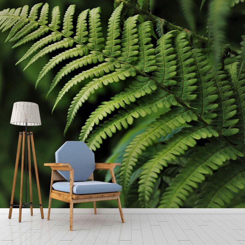 Ferns Plant Mural Wallpaper Mildew Resistant for Reading Room Bedroom Home Decor
