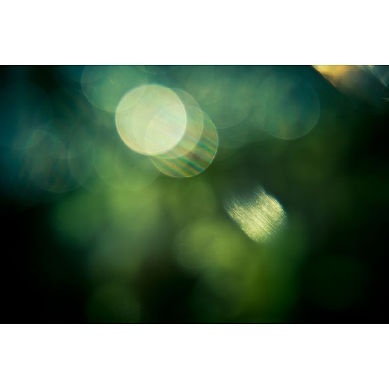 Environmental Photography Mural Wallpaper Texture Indoor Wall Mural