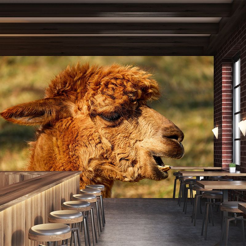 Alpaca Portrait Mural Wallpaper Contemporary Style Wall Covering for Living Room