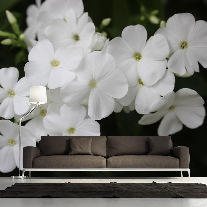 Customized Phlox Flower Wall Mural Horizontal Photography for Sleeping Room